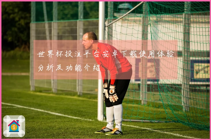 世界杯投注平台安卓下载使用体验分析及功能介绍