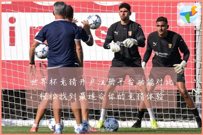 世界杯竞猜开户注册平台功能对比，轻松找到最适合你的竞猜体验