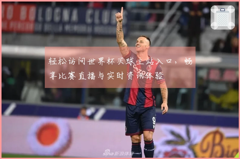 轻松访问世界杯买球主站入口，畅享比赛直播与实时资讯体验