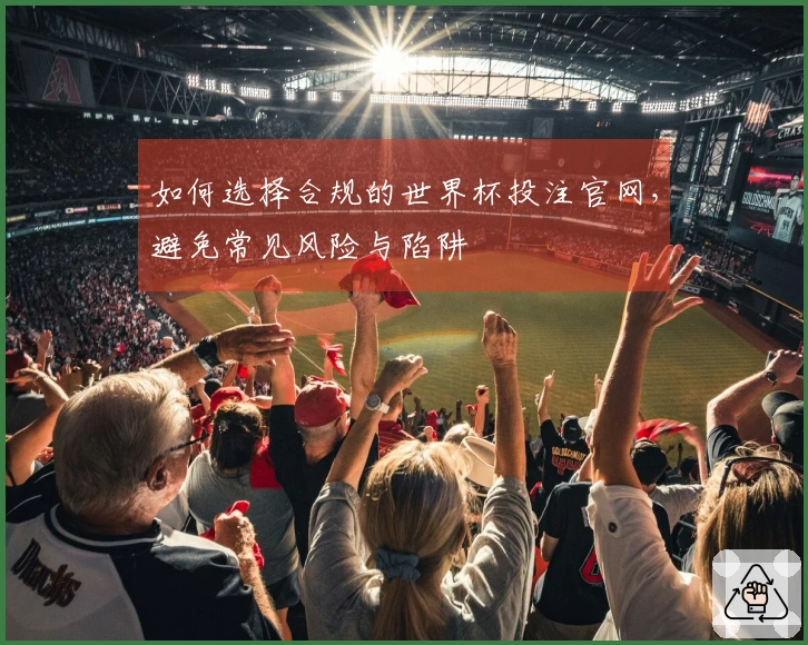 如何选择合规的世界杯投注官网,避免常见风险与陷阱