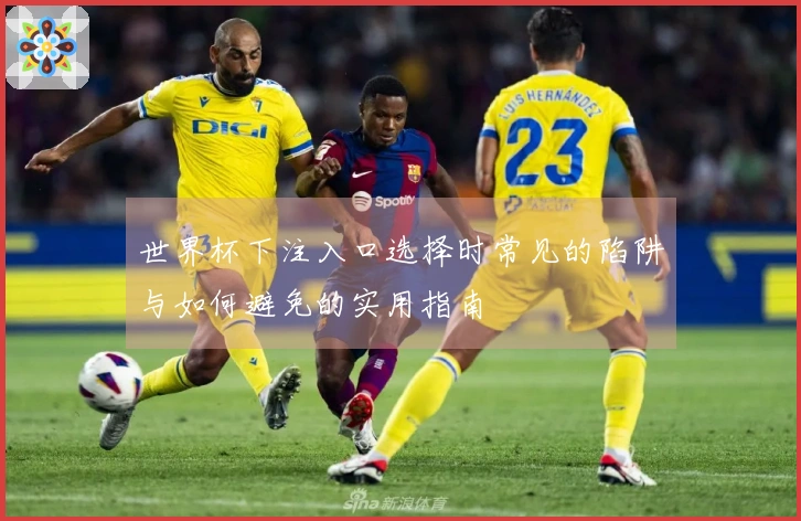 世界杯下注入口选择时常见的陷阱与如何避免的实用指南