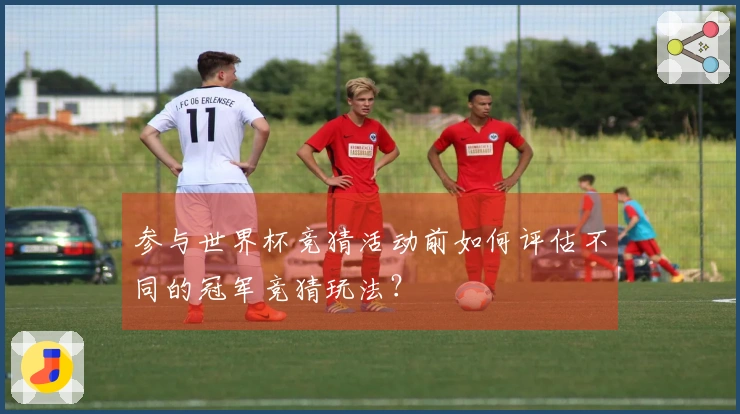 参与世界杯竞猜活动前如何评估不同的冠军竞猜玩法?