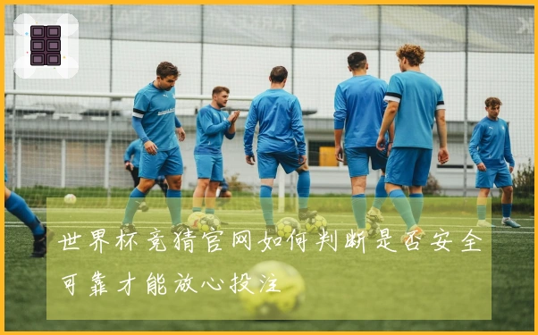 世界杯竞猜官网如何判断是否安全可靠才能放心投注