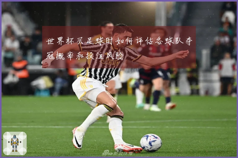世界杯买足球时如何评估各球队夺冠概率和投注风险
