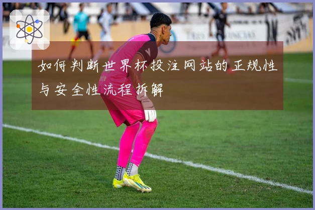 如何判断世界杯投注网站的正规性与安全性流程拆解