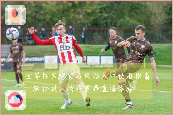 世界杯买球官方网站入口使用指南：轻松进入精彩赛事直播体验