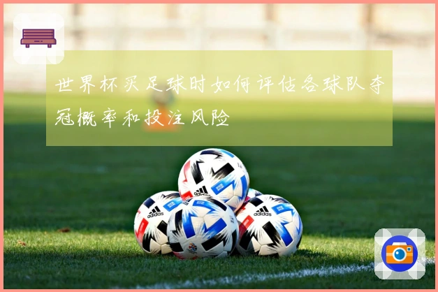 世界杯买足球时如何评估各球队夺冠概率和投注风险