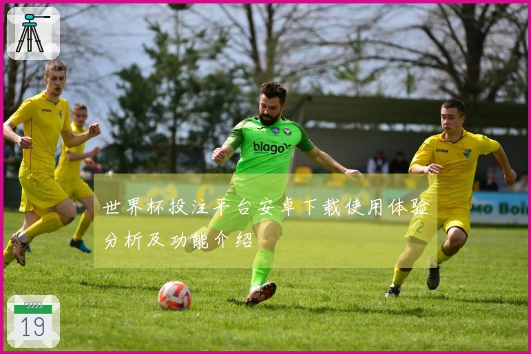 世界杯投注平台安卓下载使用体验分析及功能介绍