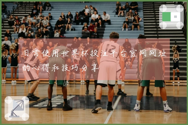 日常使用世界杯投注平台官网网址的心得和技巧分享