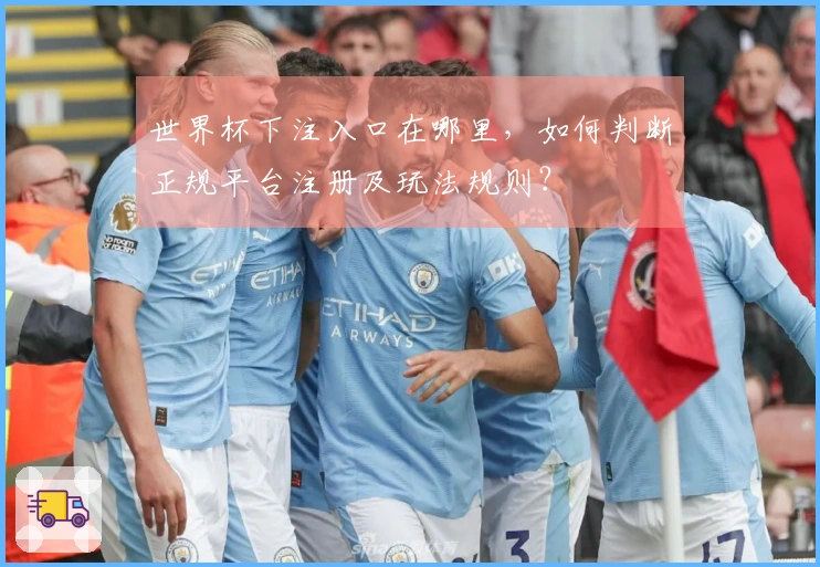 世界杯下注入口在哪里,如何判断正规平台注册及玩法规则?