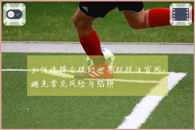 如何选择合规的世界杯投注官网，避免常见风险与陷阱