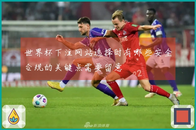 世界杯下注网站选择时有哪些安全合规的关键点需要留意