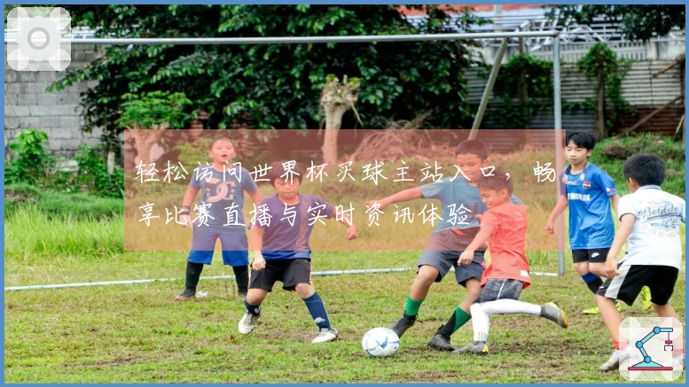 轻松访问世界杯买球主站入口，畅享比赛直播与实时资讯体验